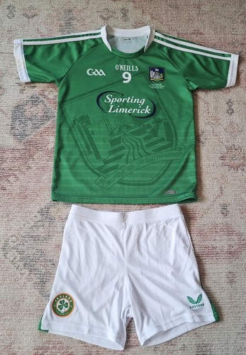 Limerick luimneach gaa - limerick,