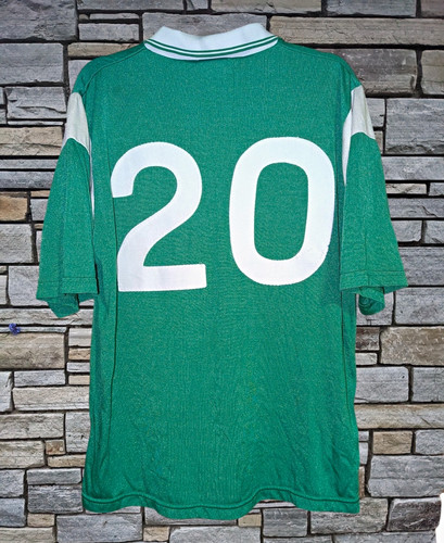 2000 limerick hurling - limerick, gaa
